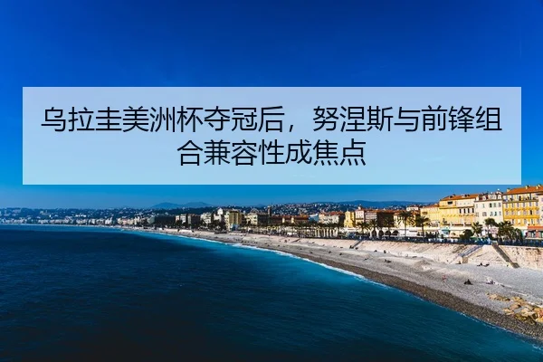 乌拉圭美洲杯夺冠后，努涅斯与前锋组合兼容性成焦点