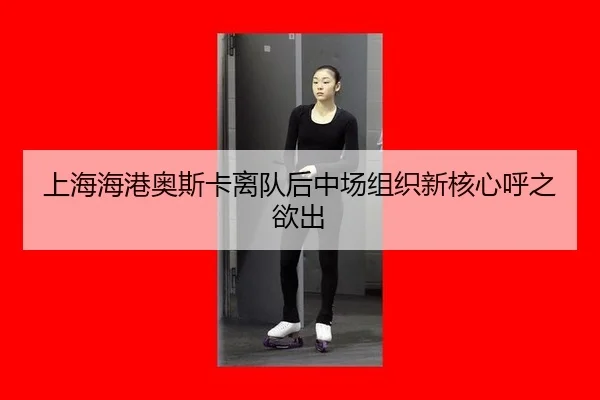 shang-hai-hai-gang-ao-si-ka-li-dui-hou-zhong-chang-zu-zhi-xin-he-xin-hu-zhi-yu-chu-3-420.jpg