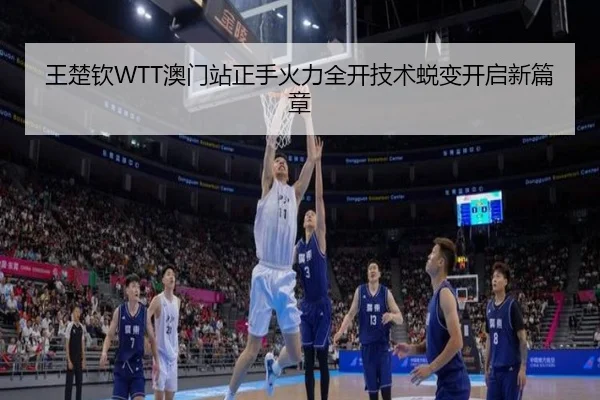 王楚钦WTT澳门站正手火力全开技术蜕变开启新篇章