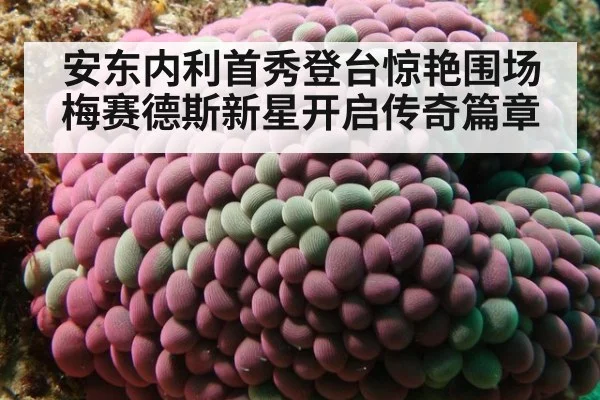 安东内利首秀登台惊艳围场梅赛德斯新星开启传奇篇章